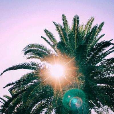 竞赛足球app下载截图