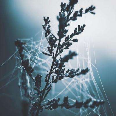 BO半岛综合app安全下载