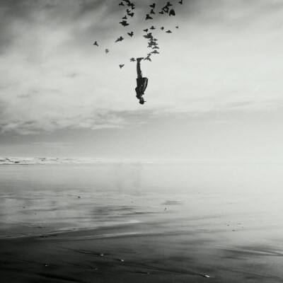 三张牌下载金花免费