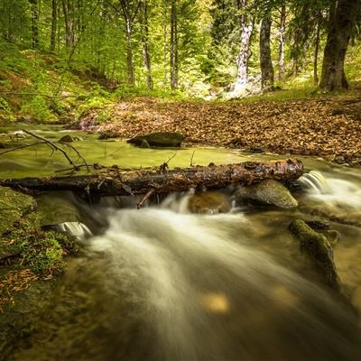 乐鱼官网-登录入口