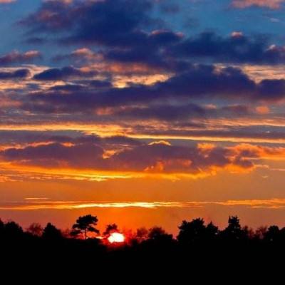 竞赛足球app下载截图