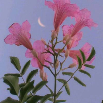 万博全站(Manbetx)